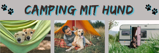 Camping mit Hund