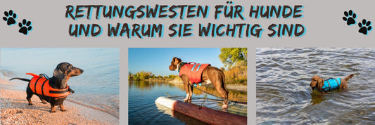 Rettungswesten für Hunde und warum sie wichtig sind