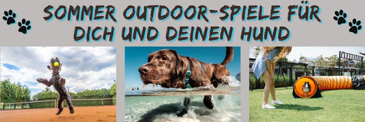 Sommer Outdoor-Spiele für dich und deinen Hund