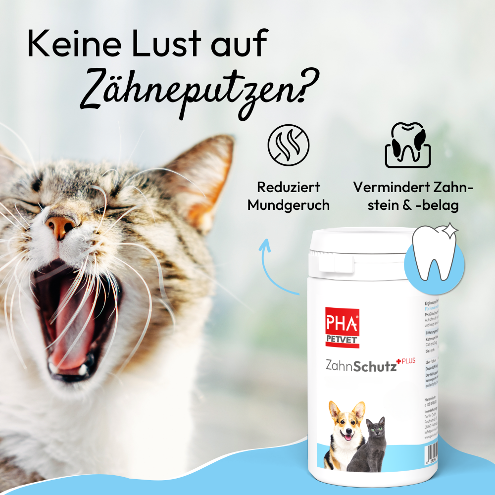 PHA ZahnSchutz PLUS für Hunde u. Katzen