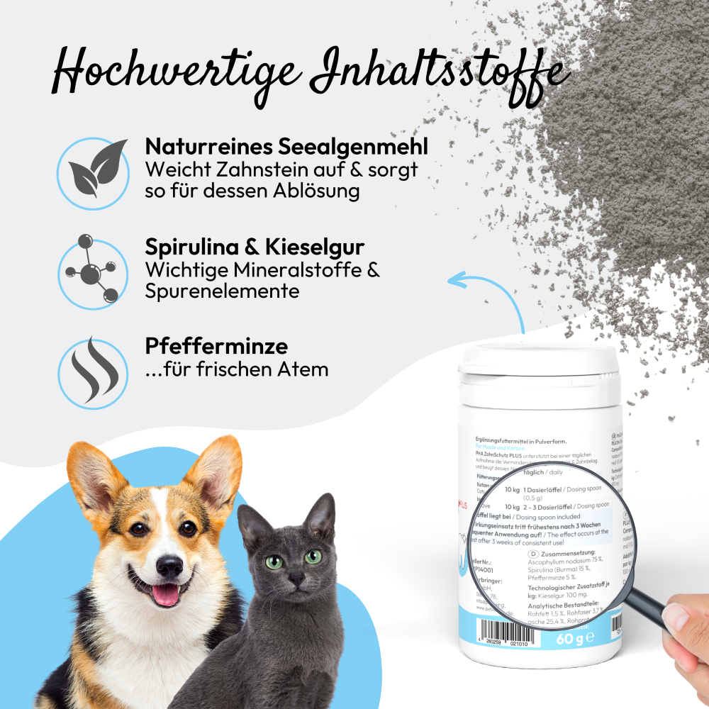 PHA ZahnSchutz PLUS für Hunde u. Katzen