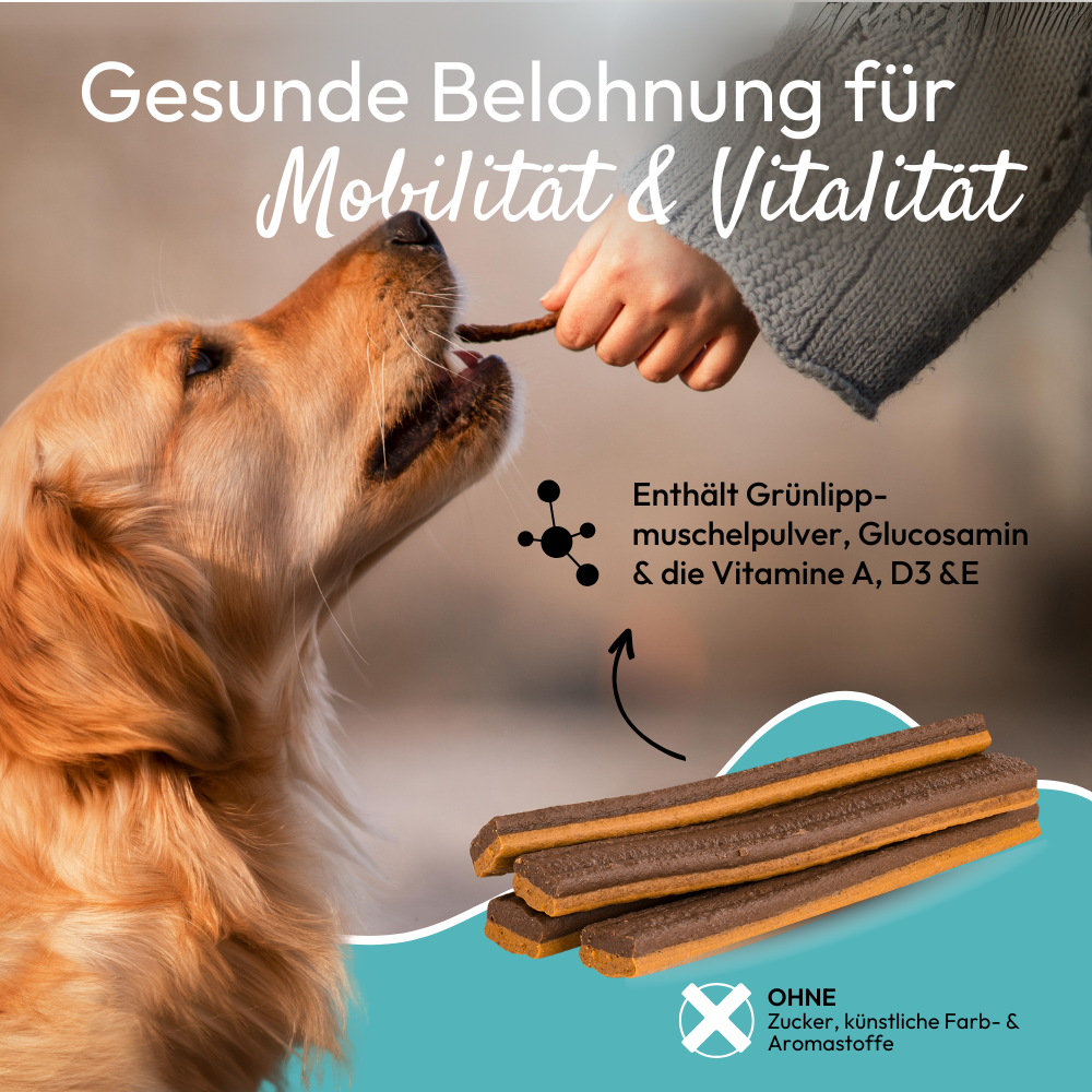 PHA GelenkStick für Hunde
