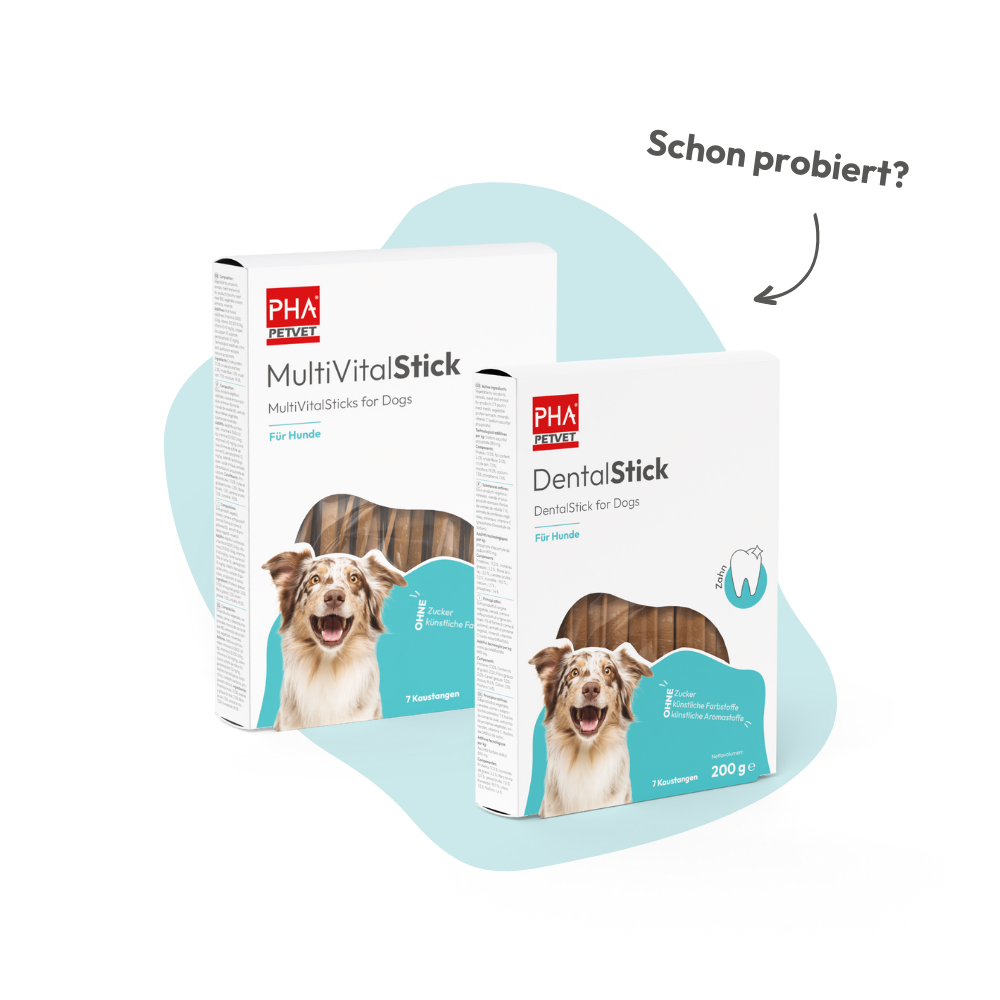 PHA GelenkStick für Hunde