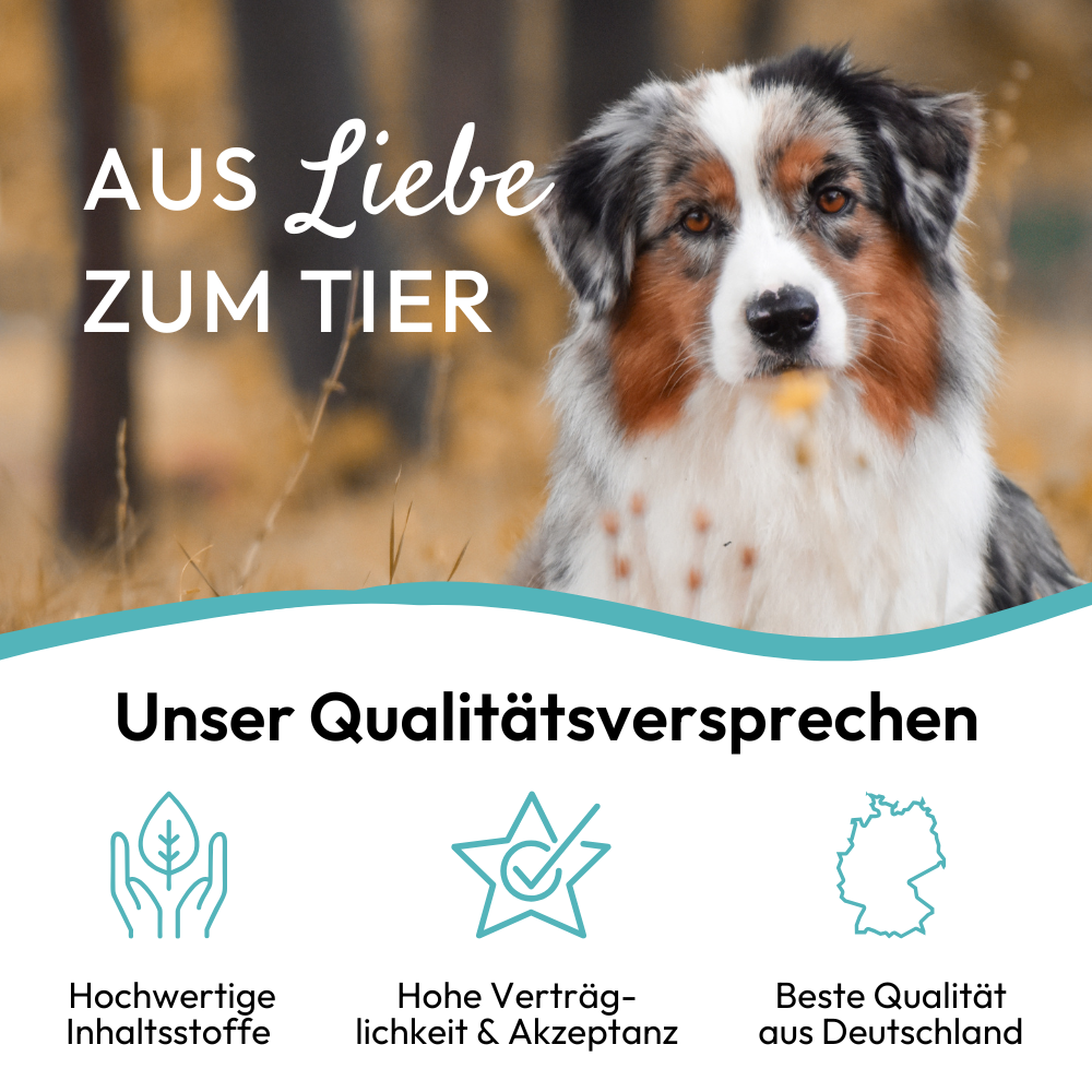PHA GelenkStick für Hunde