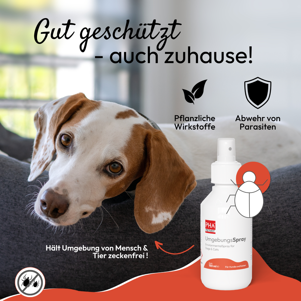 PHA UmgebungsSpray für Hunde u. Katzen 150 ml