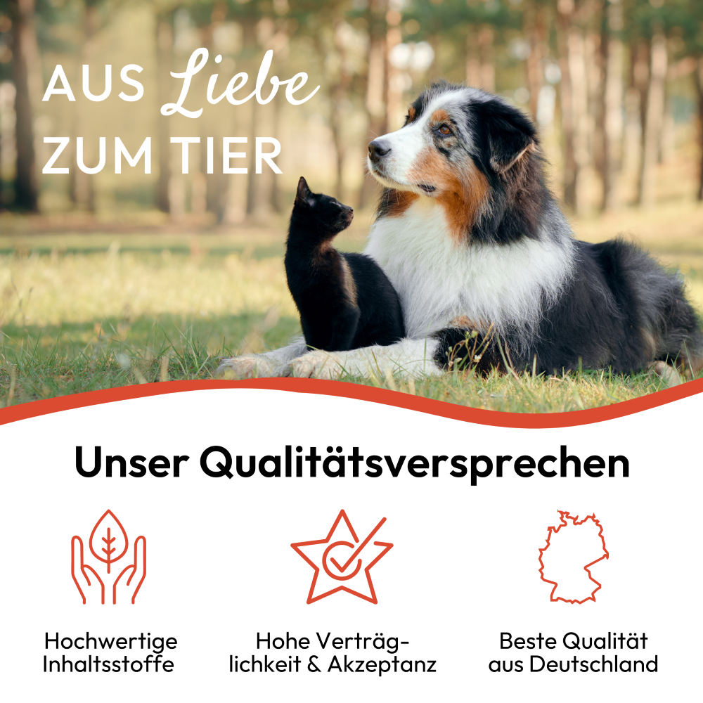 PHA UmgebungsSpray für Hunde u. Katzen 150 ml