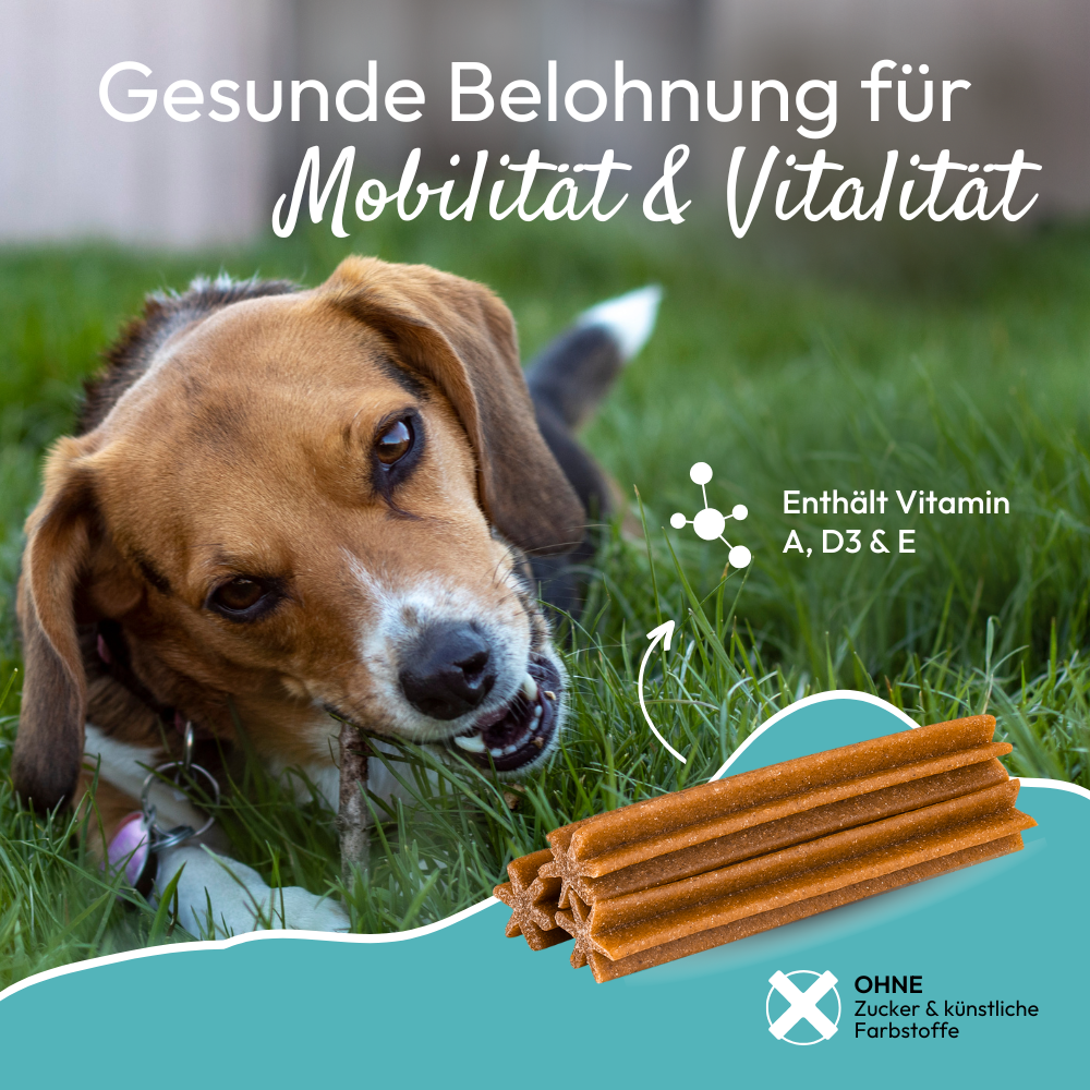 PHA MultiVitalStick für Hunde