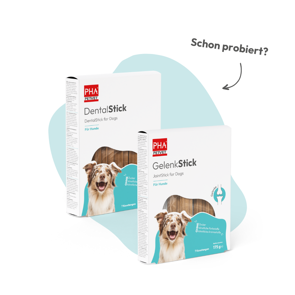 PHA MultiVitalStick für Hunde