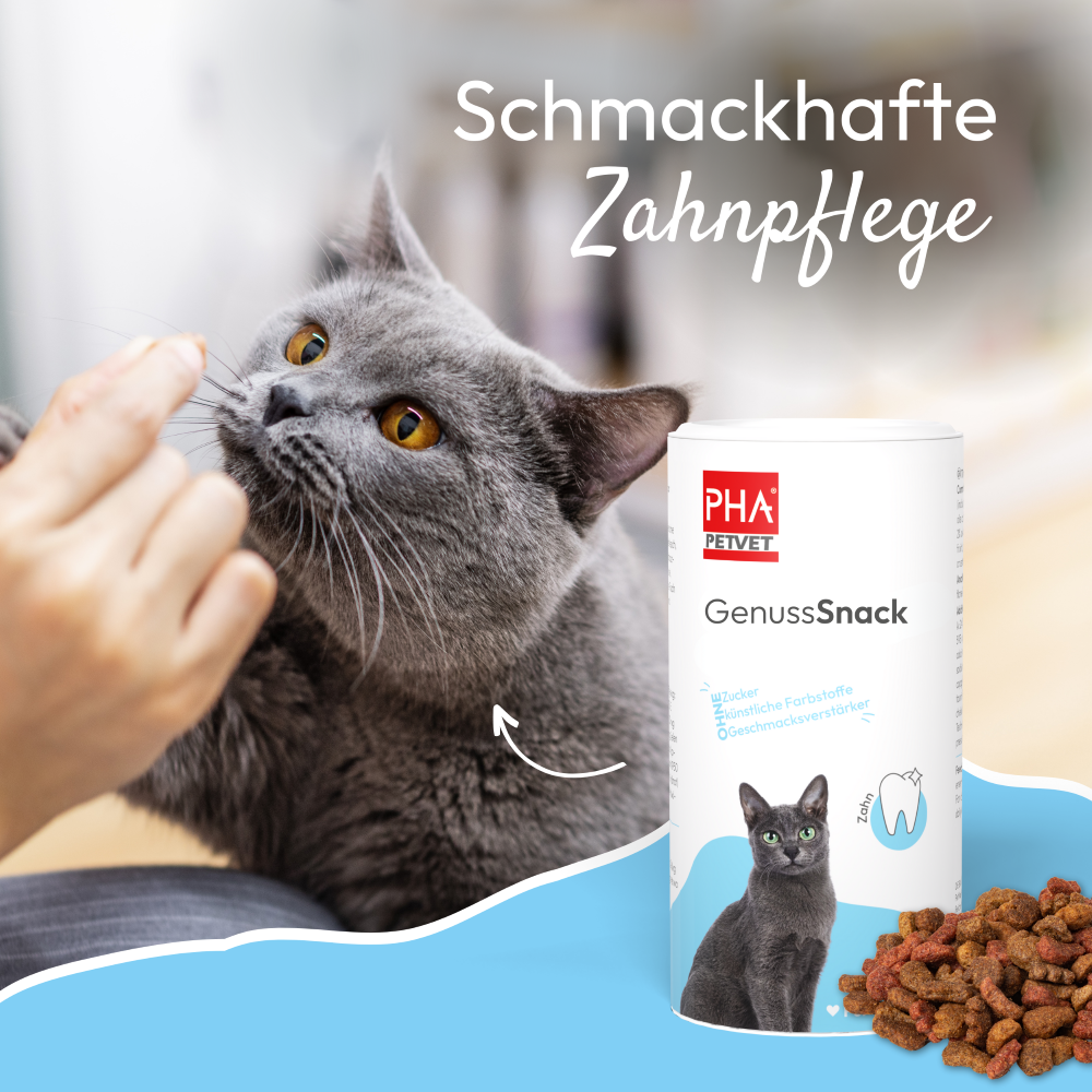 PHA GenussSnack für Katzen