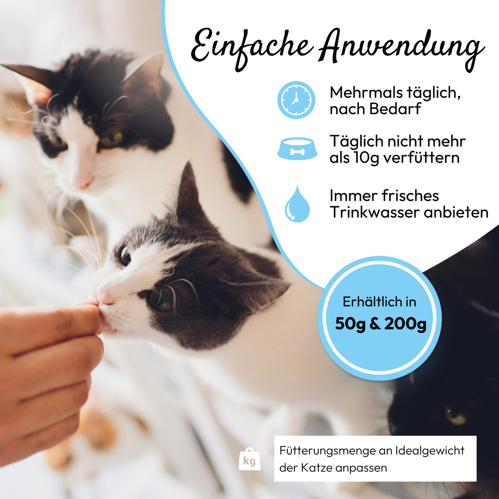 PHA GenussSnack für Katzen