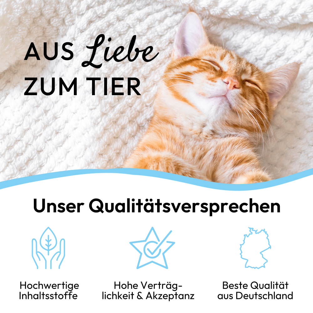 PHA GenussSnack für Katzen
