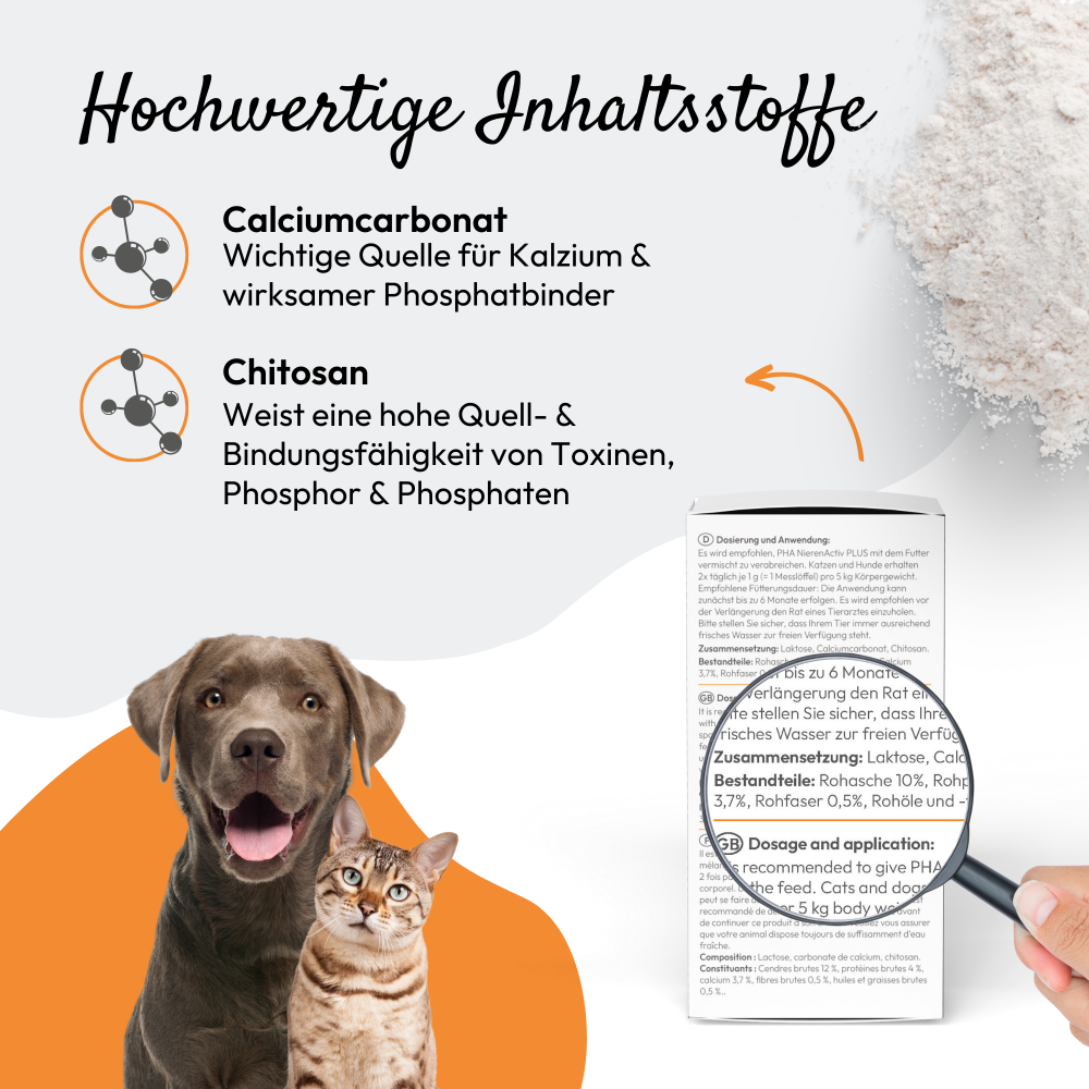 PHA NierenActiv PLUS für Hunde und Katzen 60 g