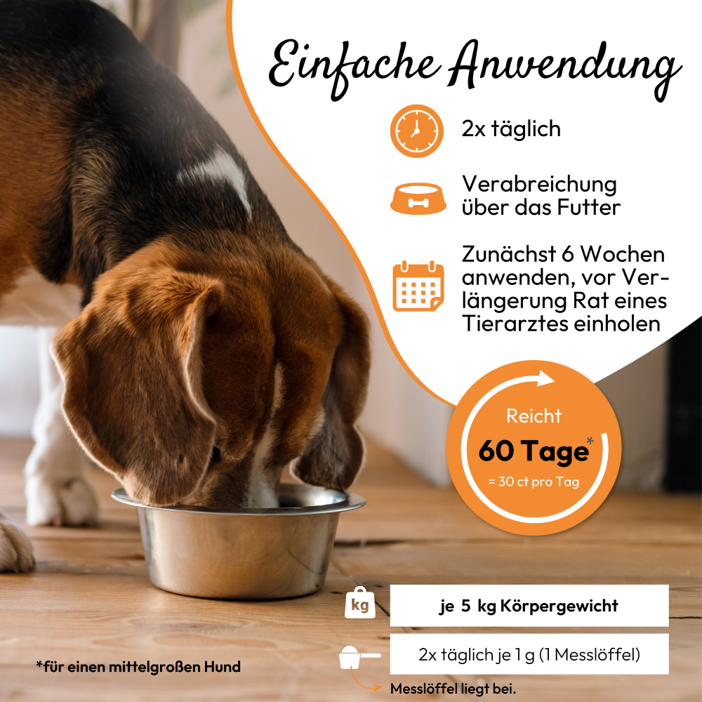 PHA NierenActiv PLUS für Hunde und Katzen 60 g