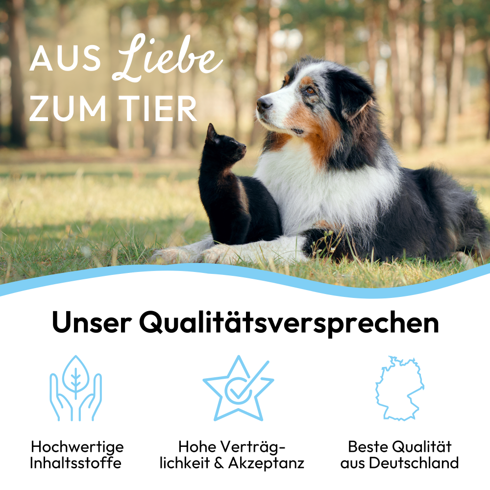 PHA AugenPflege für Hunde u. Katzen 20 ml
