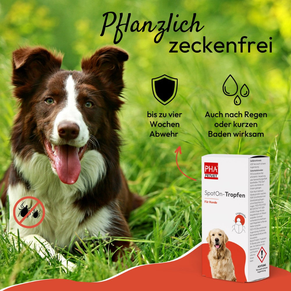PHA Spot-onTropfen für Hunde 2 x 2 ml