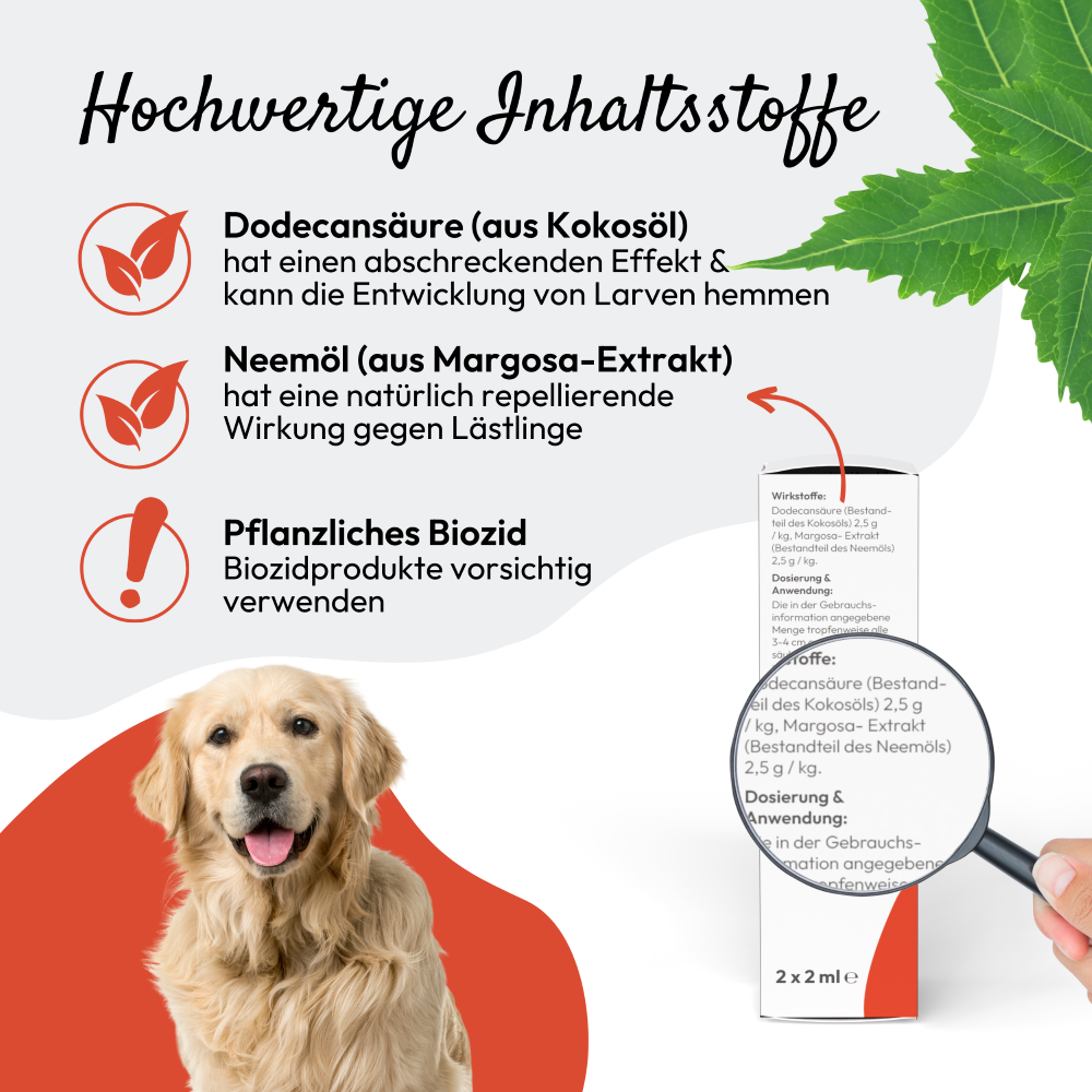 PHA Spot-onTropfen für Hunde 2 x 2 ml