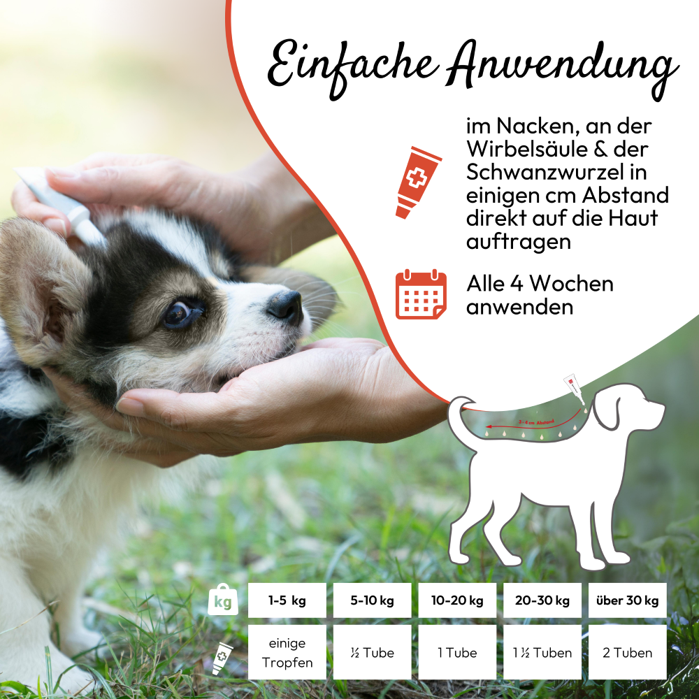 PHA Spot-onTropfen für Hunde 2 x 2 ml