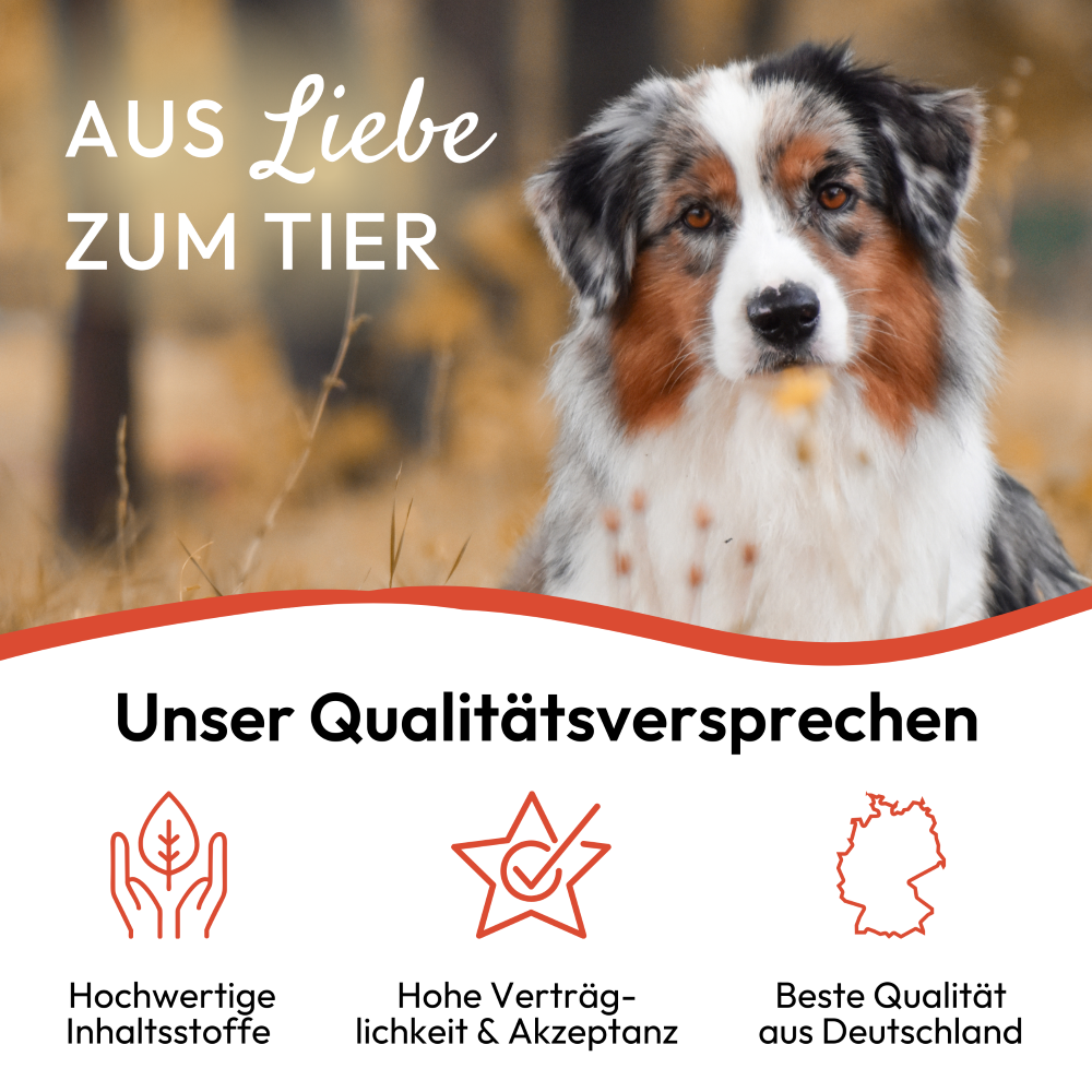 PHA Spot-onTropfen für Hunde 2 x 2 ml