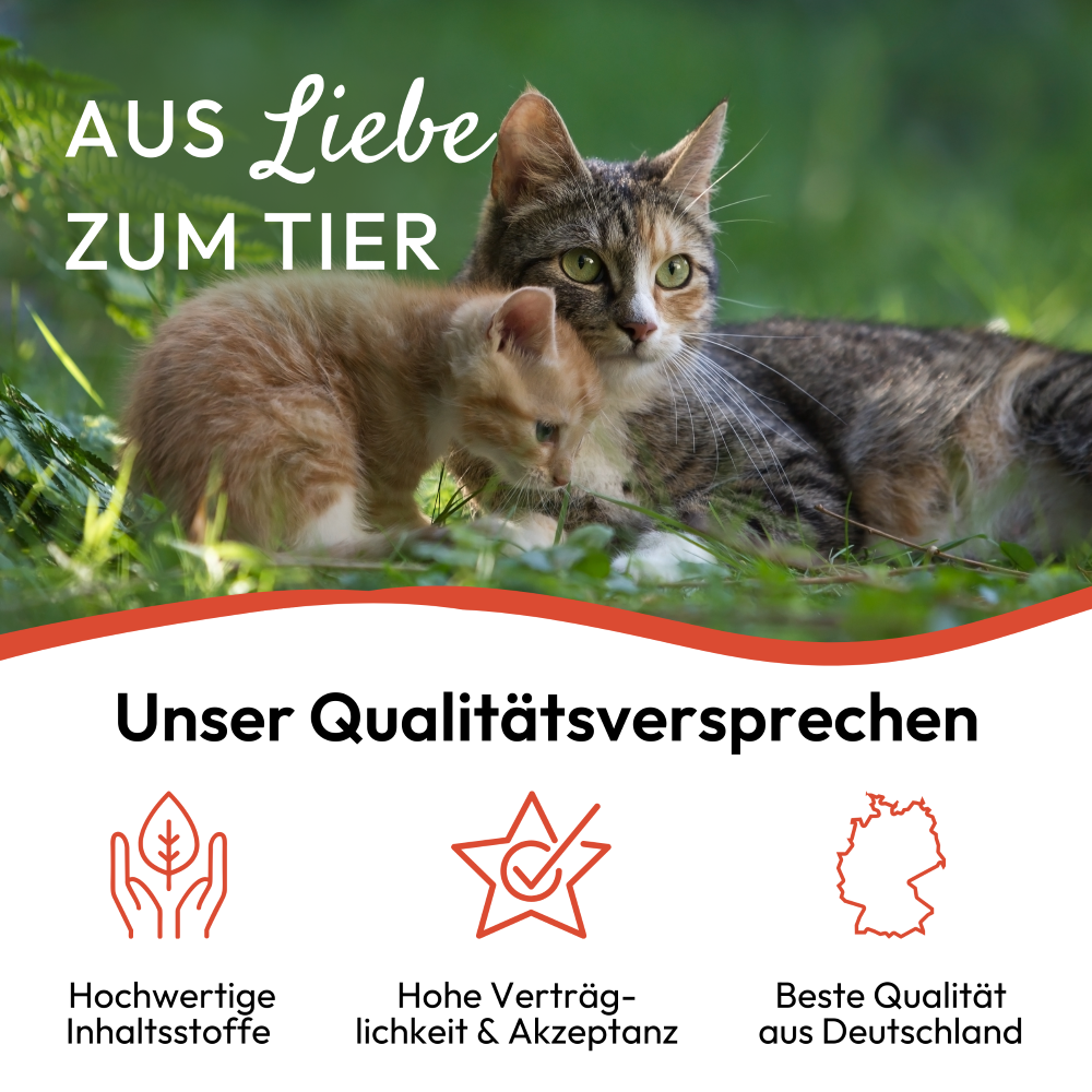 PHA Spot-onTropfen für Katzen 2 x 1,5 ml