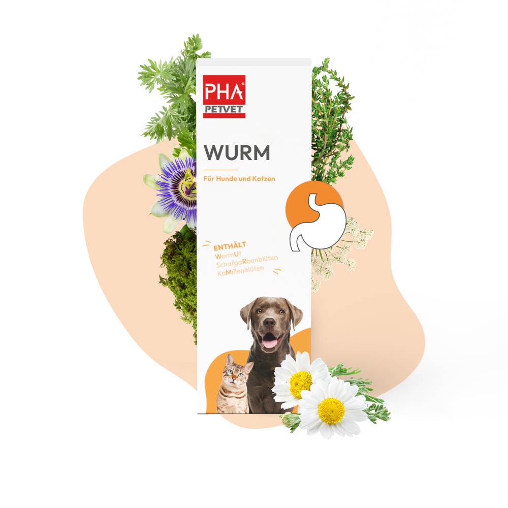 PHA WURM für Hunde u. Katzen 50 ml