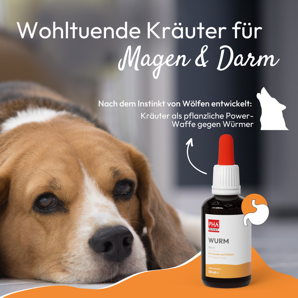 PHA WURM für Hunde u. Katzen 50 ml