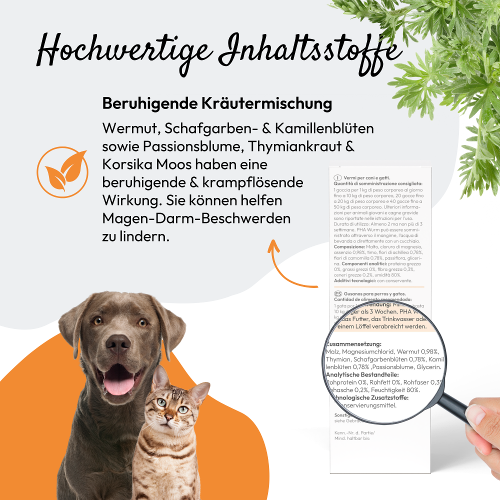 PHA WURM für Hunde u. Katzen 50 ml