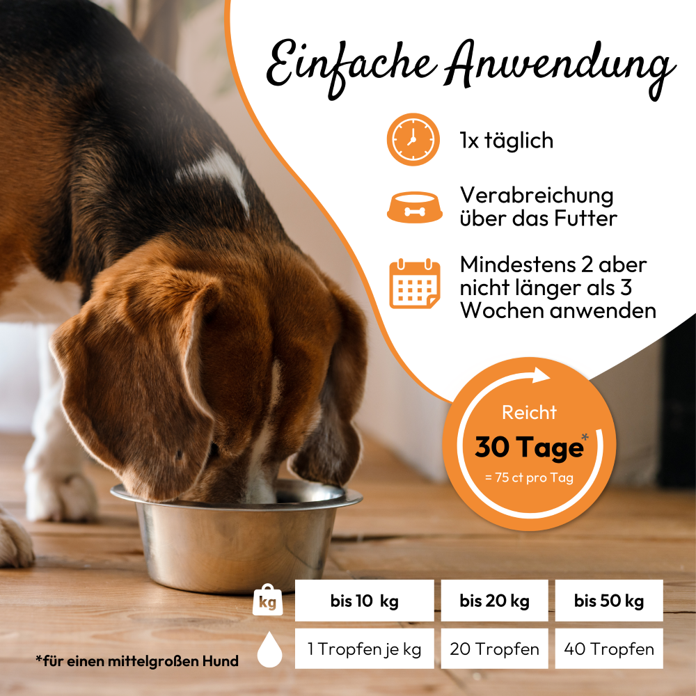PHA WURM für Hunde u. Katzen 50 ml
