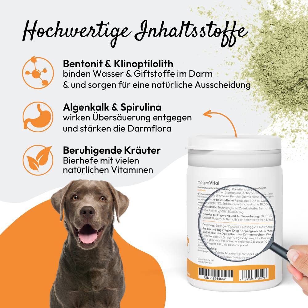 PHA MagenVital für Hunde, 200 g