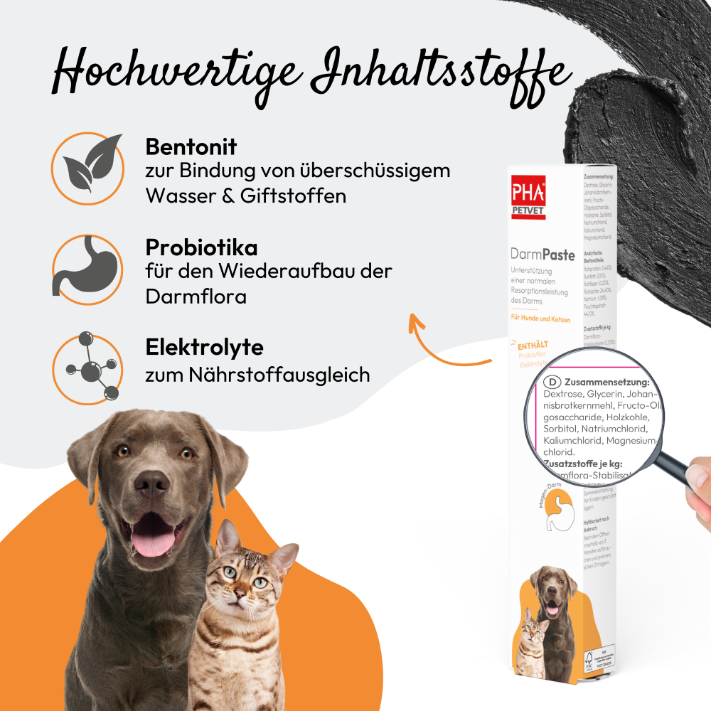 PHA DarmPaste für Hunde und Katzen 15 ml
