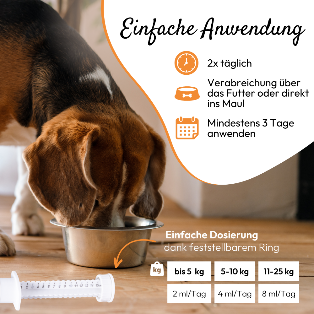 PHA DarmPaste für Hunde und Katzen 15 ml