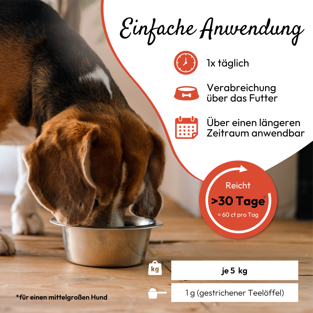 PHA Z-Abwehr für Hunde