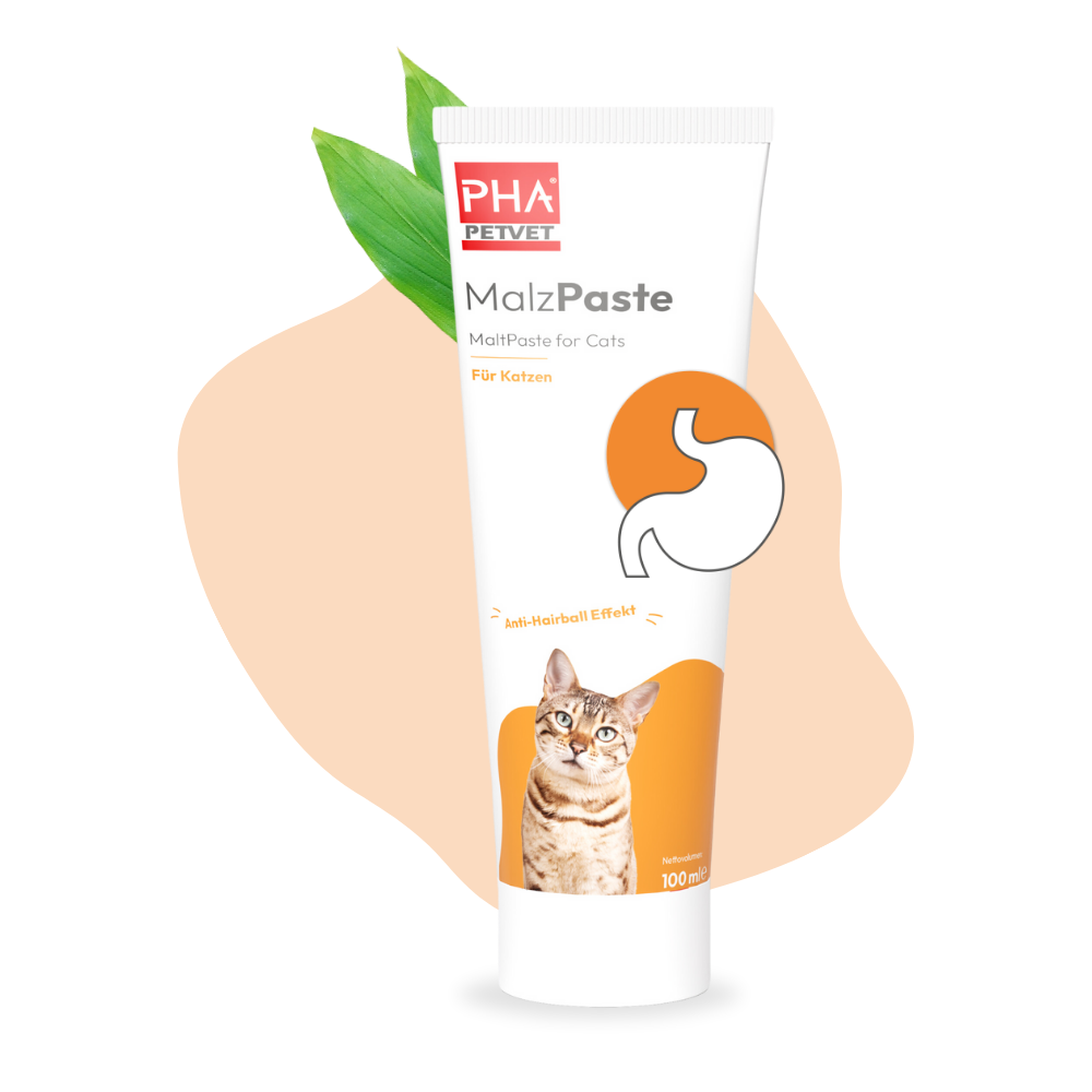 PHA MalzPaste für Katzen - 100 ml - 5 Stück
