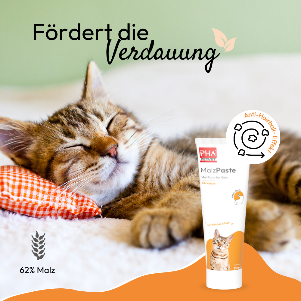 PHA MalzPaste für Katzen - 100 ml - 5 Stück
