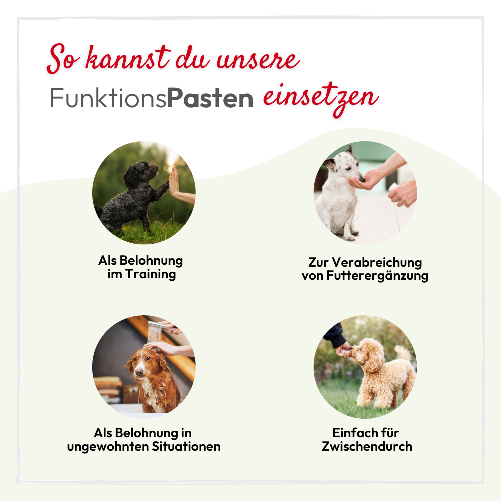 PHA VitaminPaste für Hunde - 100 ml - 5 Stück