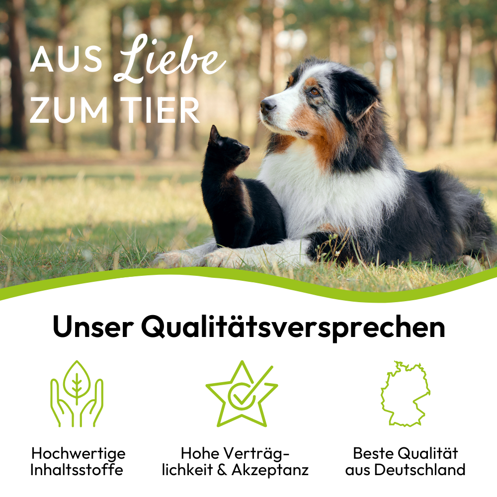 PHA VitaminPaste für Hunde - 100 ml - 5 Stück