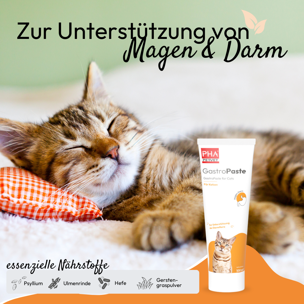 PHA GastroPaste für Katzen - 100 ml - 5 Stück