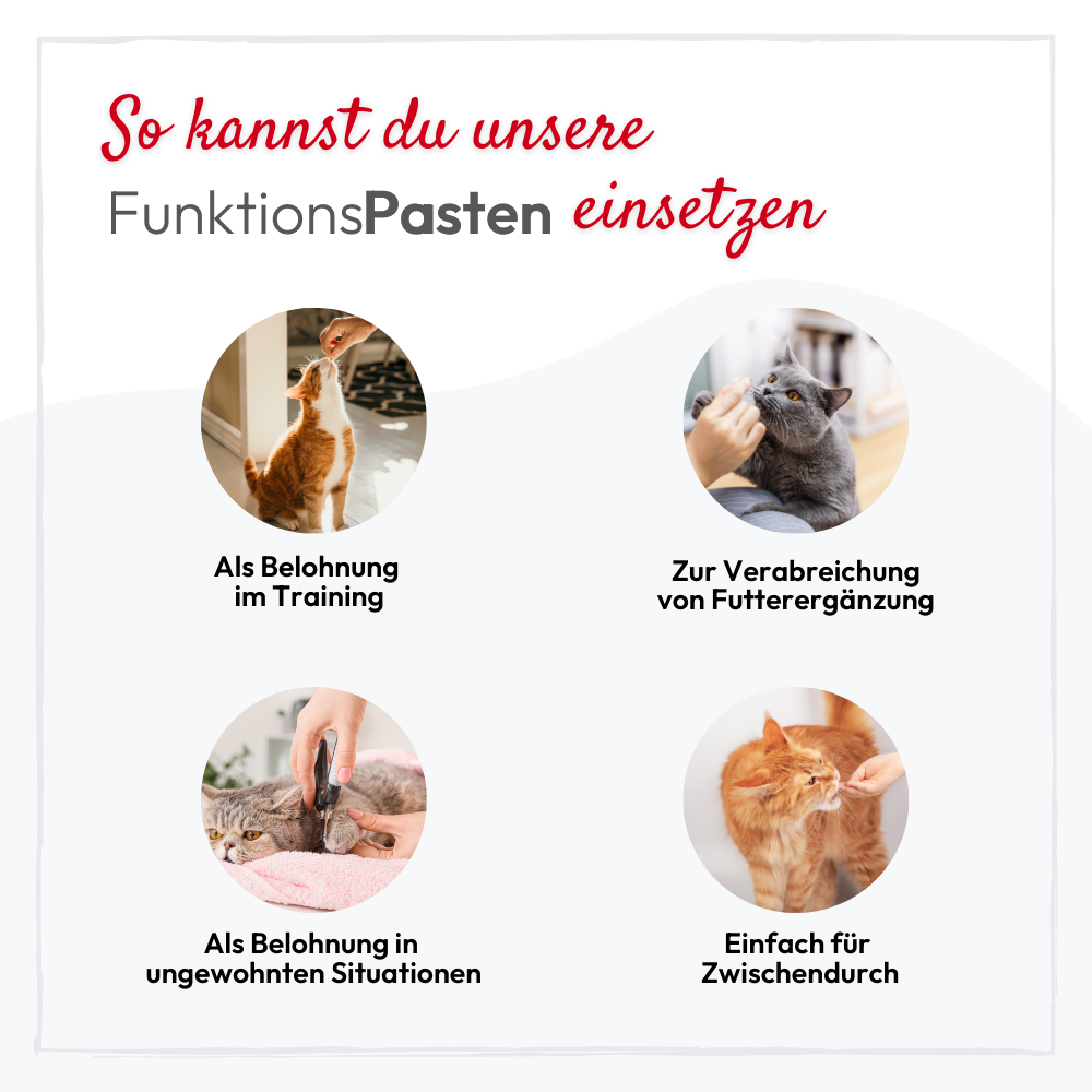 PHA GastroPaste für Katzen - 100 ml - 5 Stück