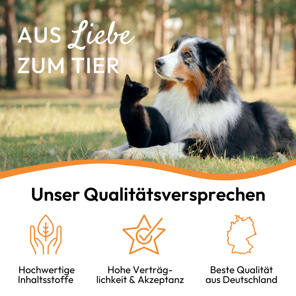 PHA GastroPaste für Katzen - 100 ml - 5 Stück