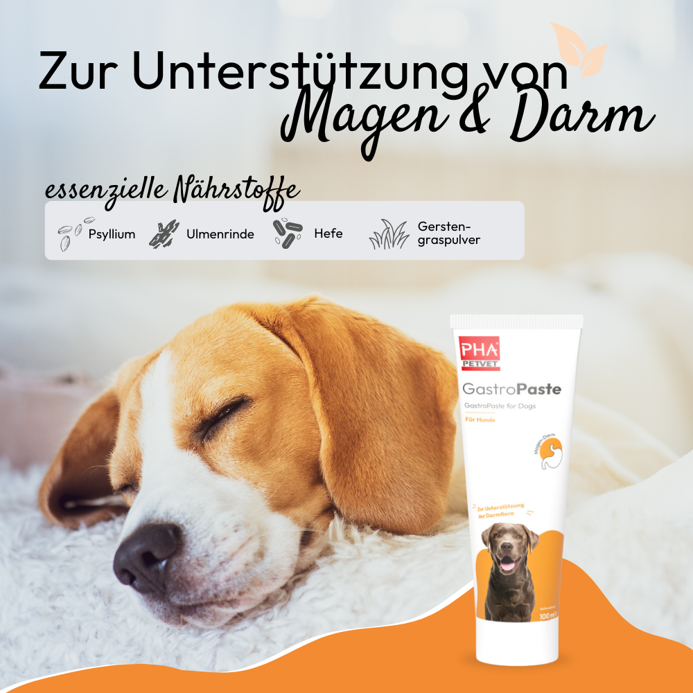 PHA GastroPaste für Hunde - 100 ml - 5 Stück