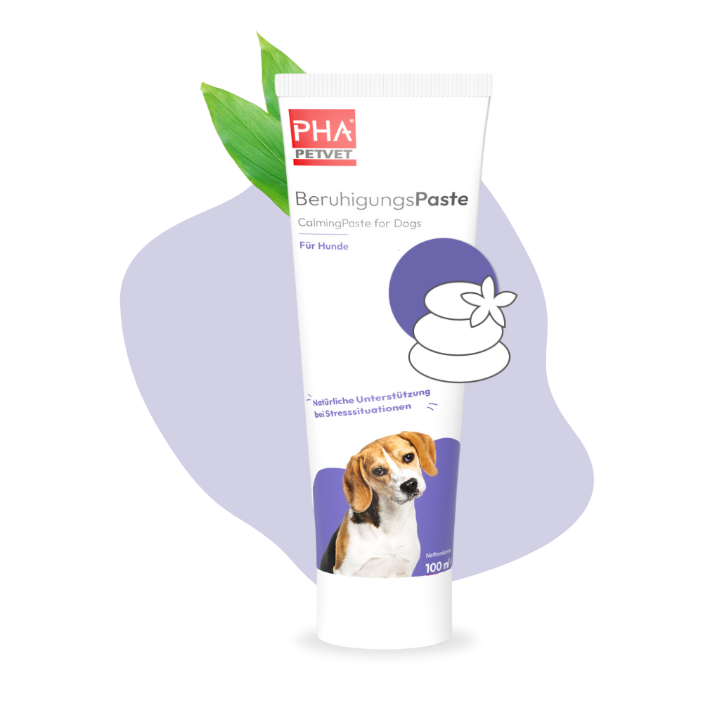 PHA BeruhigungsPaste für Hunde - 100 ml - 5 Stück