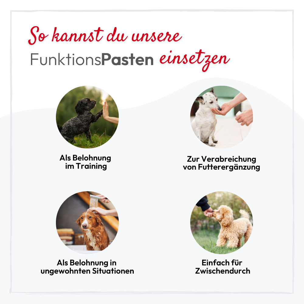 PHA BeruhigungsPaste für Hunde - 100 ml - 5 Stück