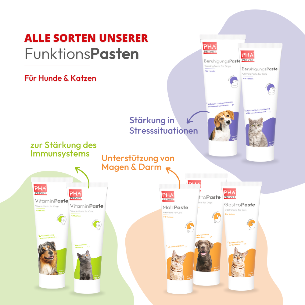 PHA BeruhigungsPaste für Hunde - 100 ml - 5 Stück