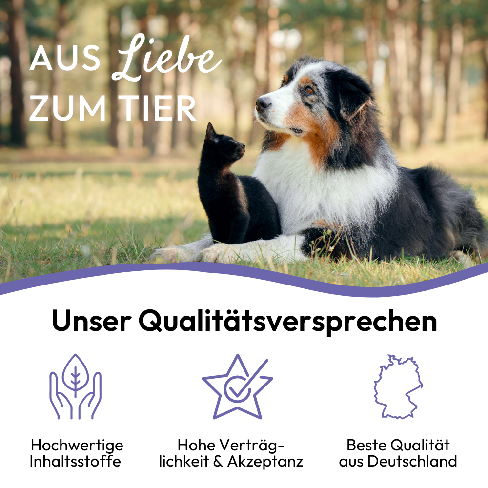 PHA BeruhigungsPaste für Hunde - 100 ml - 5 Stück