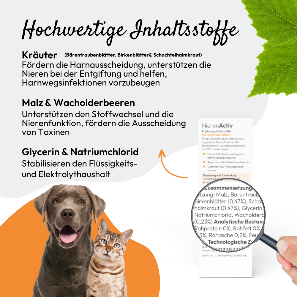 PHA NierenActiv für Hunde und Katzen 30 ml