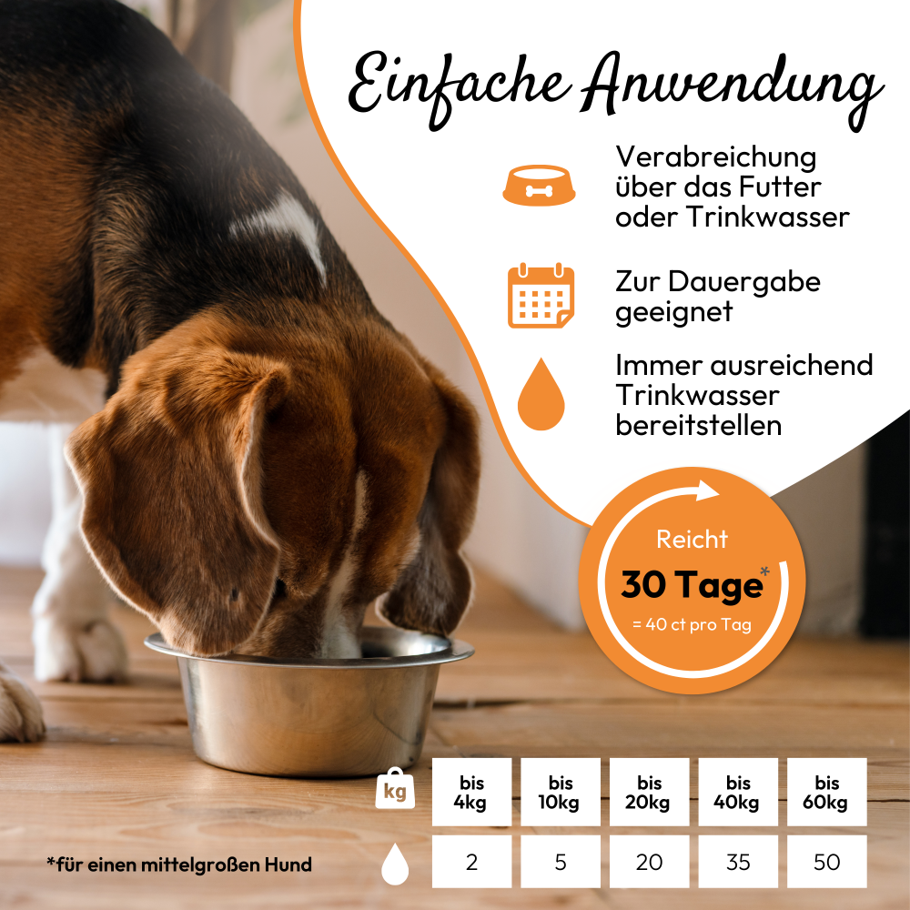 PHA NierenActiv für Hunde und Katzen 30 ml