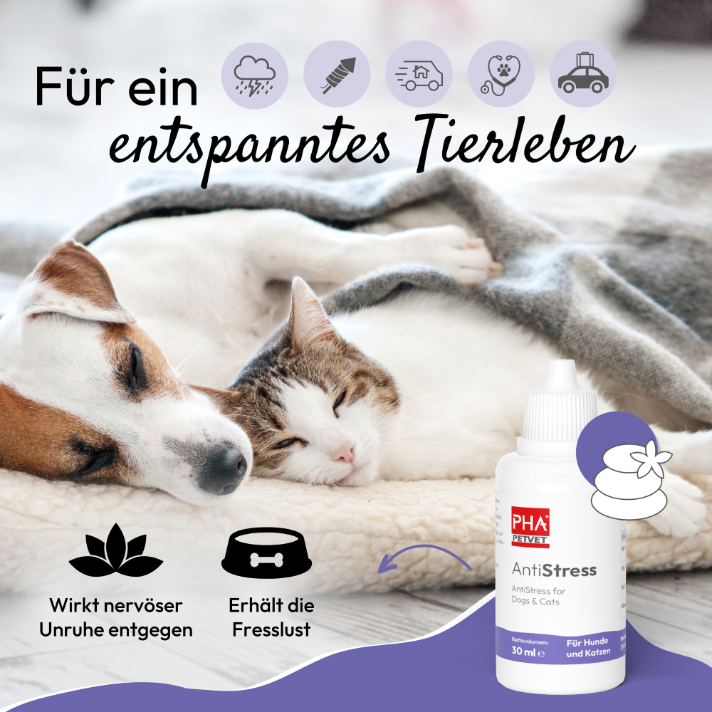 PHA AntiStress für Hunde u. Katzen 30 ml