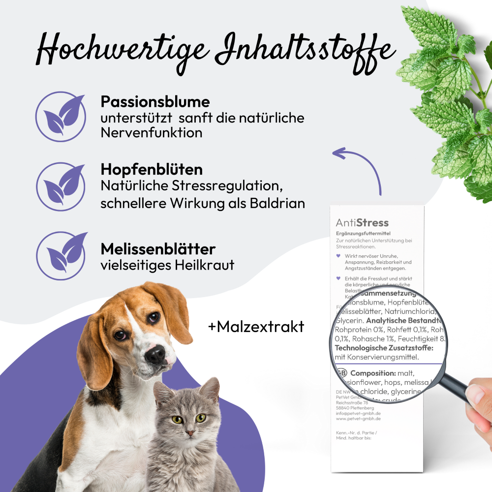 PHA AntiStress für Hunde u. Katzen 30 ml