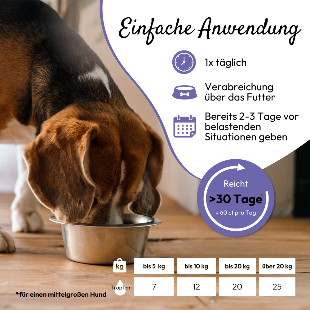PHA AntiStress für Hunde u. Katzen 30 ml