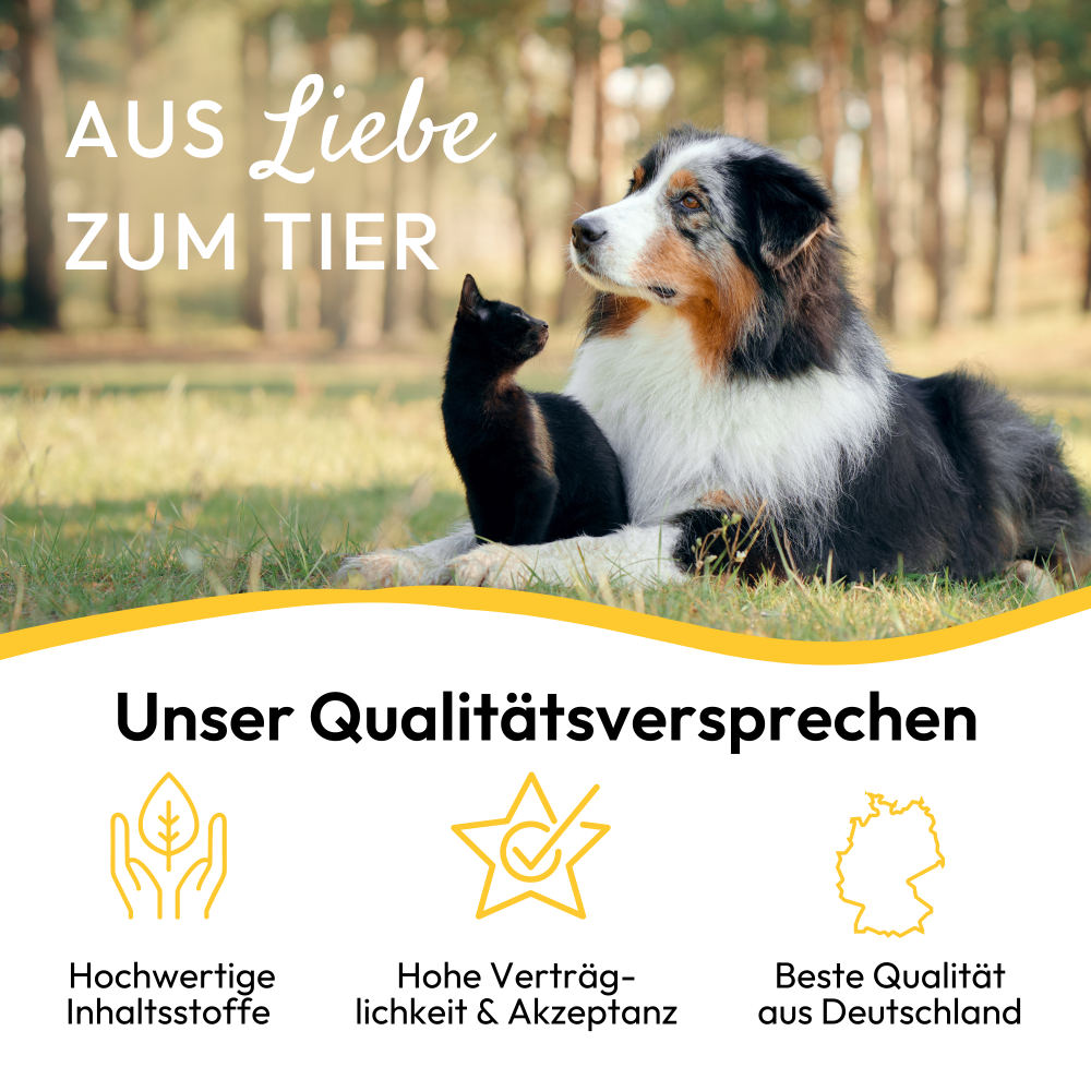 PHA HautRepair für Hunde u. Katzen 125 ml