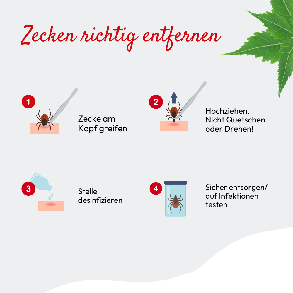 PHA ZeckenZange für Hunde u. Katzen